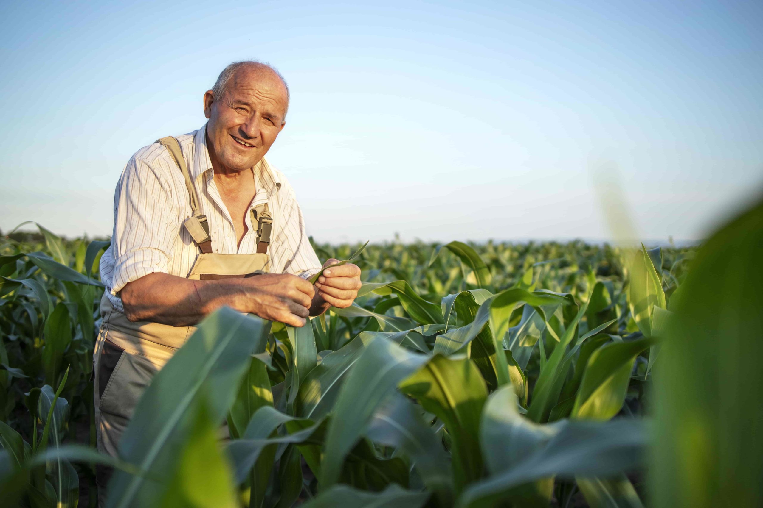 Agriculture